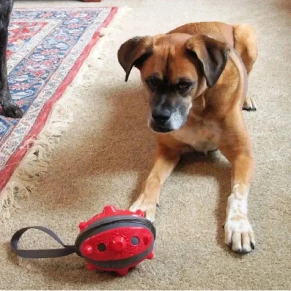 Frisco No Squeak Football Dog Toy, Red
